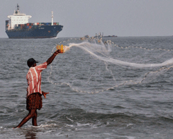 A fisherman casting his net in the sea at Kochi on Sunday. Per capita incomes in the south (Tamil Nadu, Karnataka, Andhra Pradesh and Kerala) have risen fast and poverty has declined in recent years and the reason is quality of governance, better leadership and political stability, according to study conducted by the Public Affairs Centre. PTI Photo