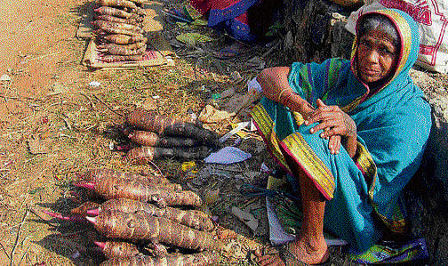Livelihoods : Colocasia tubers being sold in Ramanagar market(Photos by the  author)