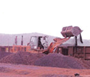 CEC says no to export of iron ore pellets from Karnataka