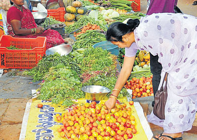 With tomatoes in short supply, only a very few vendors were seen selling the vegetable, in Mysore. dh photo