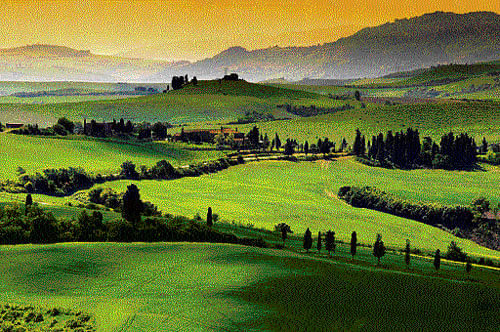 Nature's canvas: The lush green countryside in Tuscany.