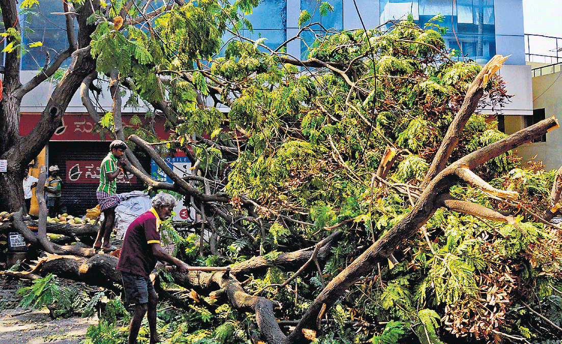 Tough job : BBMP workers removing a fallen tree near Wilson Garden. DH  photo by dinesh S K