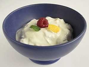 Probiotic yogurt may change brain function