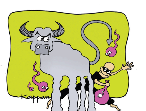 Exotic buffalo semen stolen from sperm bank in Haryana