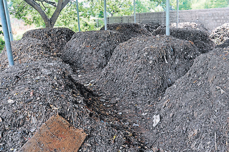 Useful garbage: Organic waste collected from households and hotels undergoes the composting process at the Zero Waste Management Unit at&#8200;Sewage&#8200;Farm in Vidyaranyapuram in Mysore. DH Photos
