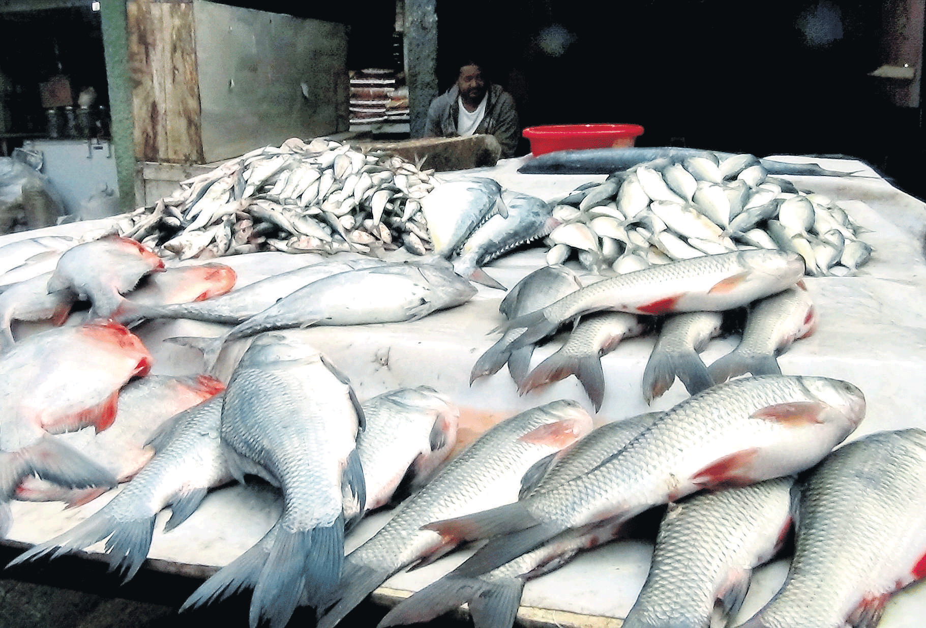 Fish pricey in City, yet demand soars