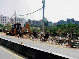 Slow process: There are still many flaws in the BBMP's solid waste disposal system which need to be smoothened out.