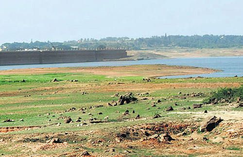 Water level in the Krishnaraj Sagar reservoir has gone down considerably. dh photo