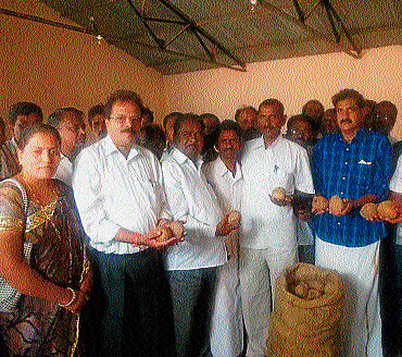 MLA Y S V Datta inaugurates copra purchase centre at Kadur APMC premises on Friday. dh photo
