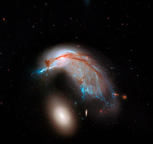 This NASA Hubble Space Telescope image, showing what looks like the profile of a celestial bird, belies the fact that close encounters between galaxies are a messy business in this NASA handout received by Reuters June 21, 2013. This interacting galaxy duo is collectively called Arp 142. The pair contains the disturbed, star-forming spiral galaxy NGC 2936, along with its elliptical companion, NGC 2937 at lower left. REUTERS
