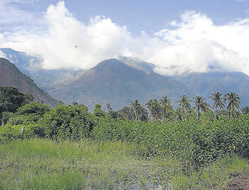 Work on several irrigation projects is getting delayed on  account of hurdles in acquiring forest land. DH Photo