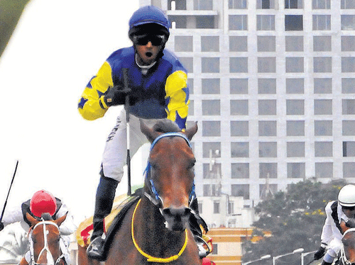 Karnataka Information Commission has asked the Bangalore Turf Club to appoint a public information officer. DH FILE&#8200;PHOTO
