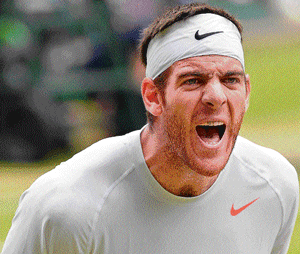war cry: Argentine Juan Martin del Potro lets it out after vanquishing Spaniard David Ferrer on Wednesday. AFP
