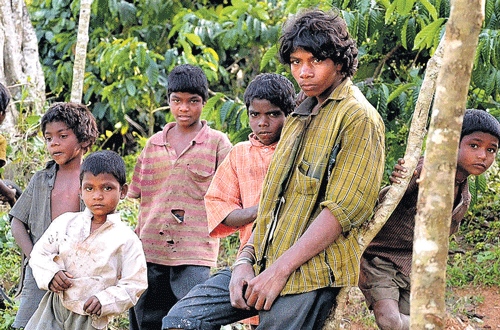 These tribal children face the risk of malnourishment, if the government does not provide food grains to them during the rainy season. DH File Photo