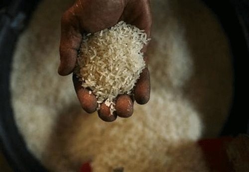 Ration cards to be linked to UID to check rice scheme misuse