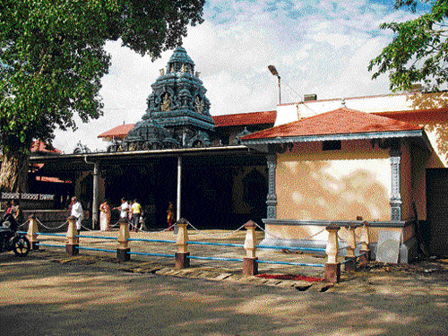star attractions: The Mahalingeshwara and Suryanarayanaphotos by the author
