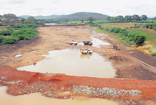 devouring greed: Lorries and tractors are used to transport the extracted sand in the Malaprabha river basin at Khyada village in Badami taluk of Bagalkot district. DH Photo