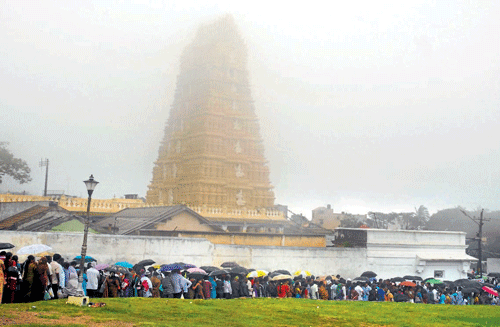 undeterred: People shelter under umbrellas amidst rain and mist, while they wait in a queue for the darshan of goddess Chamundeshwari atop the Chamundi Hills on Ashada Friday. dh photo