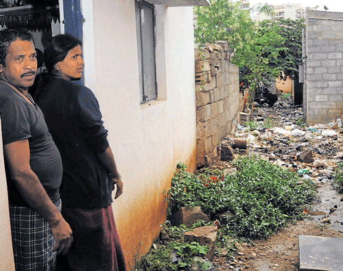 The garbage dump yard, weeds and stagnant water, as is the case in Gubbalala, breed fears of vector-borne diseases. DH Photos: Kishore Kumar Bolar