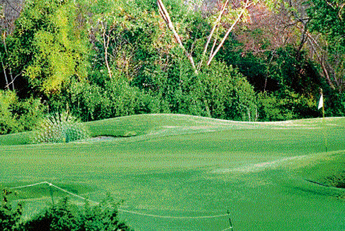 Ball game: Delhi Golf Club is the oldest in Delhi and quite popular among the City's elite.