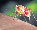 Jawan dies of dengue