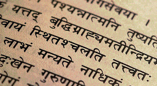 novel Students of Sanskrit in DU will study a variety of subjects in the next four years.