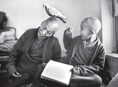 iconic Martine Franck's celebrated photograph - 'Tulku Khentrol Lodro Rabsel with his tutor Llagyel  in the Shechen monastery, Bodnath, Nepal, 1996'.6,'