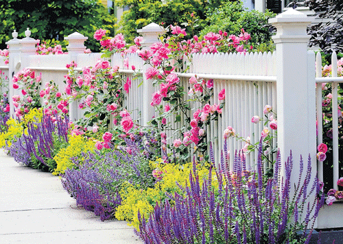 pretty picture Paint pickets to match your home's exterior colour scheme. (Right) Ornate fences enhance the  elegance of your home. (Photos: getty images)