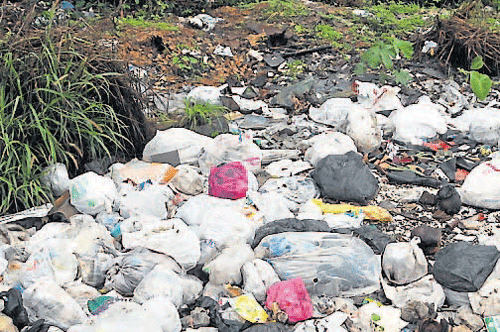 A file photo of garbage dumped on a street in Mangalore. DH&#8200;Photo