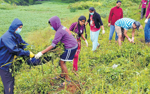 Residents and members of the Lake and Neighbours Development trust clean Alahalli Lake at Anjanapura on Sunday. dh photo