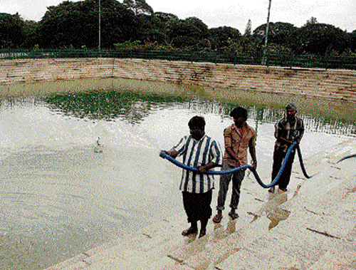 clean-up act Ulsoor Lake being cleaned on Wednesday, ahead of Ganesha festival, to facilitate immersion of idols. DH Photo