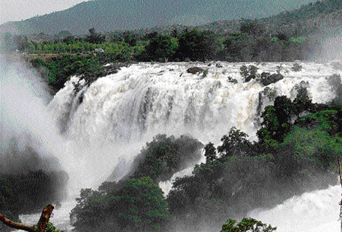 A file photo of the Shivanasamudra, which is one of the  locations for the proposed hydel-power projects.