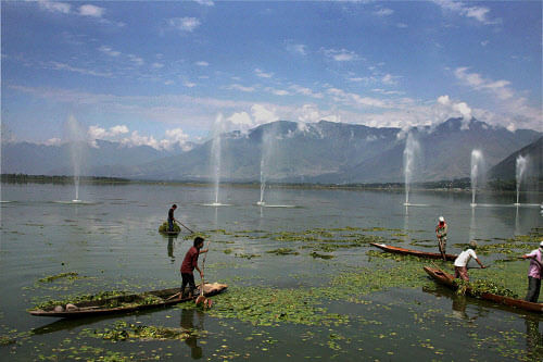 Labourers cleaning the Dal Lake ahead of Zubin Mehta's Concert in Srinagar on Thursday. Shalimar Garden, the venue of the concert, is situated on the banks of the famous lake. PTI Photo