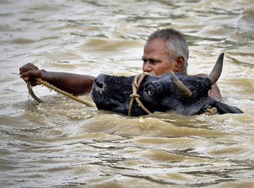 Assam reels under floods; Majuli and Kaziranga affected