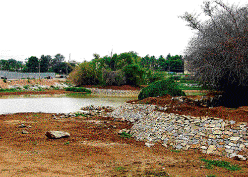 parched The dried-up Uttarahalli Lake which failed to revive despite heavy rains. DH Photo