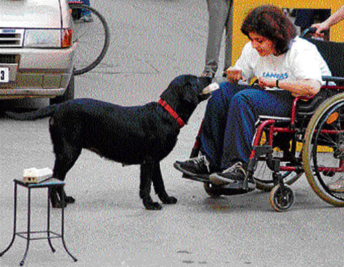 Dogs to help physically challenged