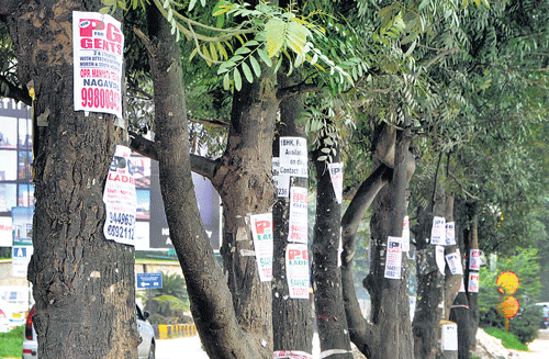 blemish Posters pasted on trees near Manyata Techpark on Outer Ring Road. DH Photo by BK Janardhan