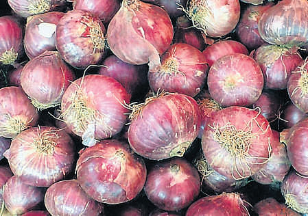 Price squeeze on onion exports to ease supplies