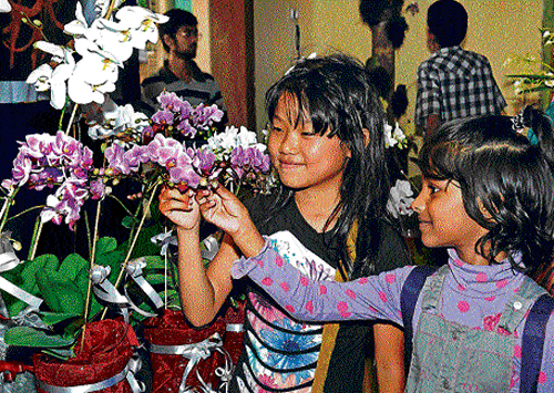 fragile beauties: Children look at orchids at the Lalbagh in  the City on Saturday. dh photo
