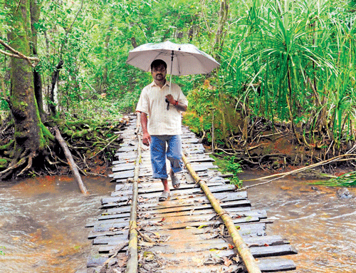 A villager crosses a foot bridge to reach Kindale village. DH photo