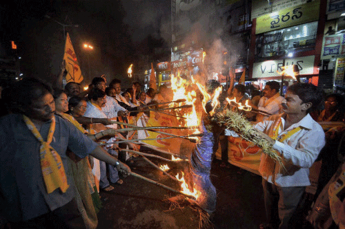 TDP activists burn an effigy as they protest against creation of Telangana state. PTI photo