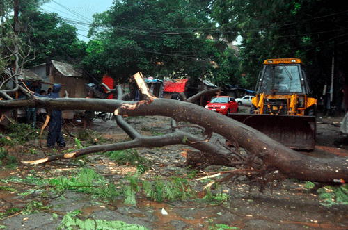 Severe cyclonic storm 'Phailin', which forced the evacuation of over eight lakh people, left a trail of destruction in coastal areas of Odisha and Andhra Pradesh and disrupted communication lines before weakening considerably today. PTI Photo.