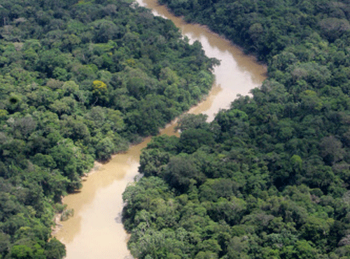 This May 17, 2007 file photo, shows an aerial view of the Yasuni National Park in Ecuador's Amazonian region. For representation only. AP File Photo.