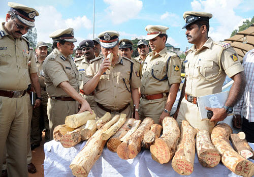 15 tonnes illegal sandalwood seized in Karnataka. DH file photo