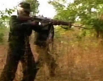 Maoists kill three policemen in Maharashtra. File PTI Image for representation only