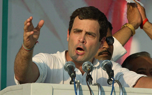 Congress vice president Rahul Gandhi says he does not fear being murdered, PTI photo