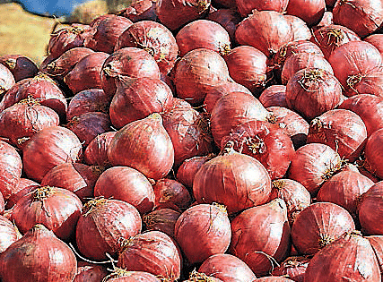Flavour hit as onion prices soar