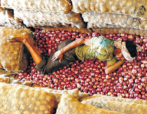 Onion prices show no sign of easing and are burning a hole in the pocket of consumers. A vendor in Chikmagalur takes a nap while waiting for customers on Wednesday. PTI