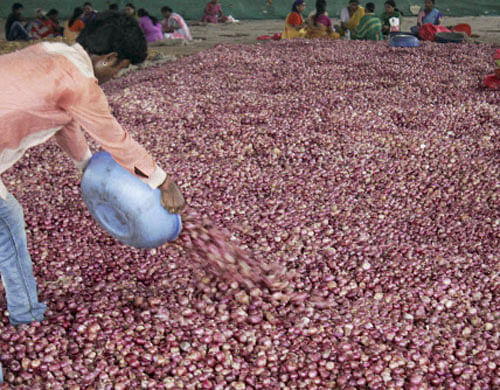 Rising onion prices continued to bring tears to the eyes of the common man even as politicians promised that the crisis was temporary and the prices would stabilise in a couple of weeks with new crop arrivals in the market. PTI File Photo