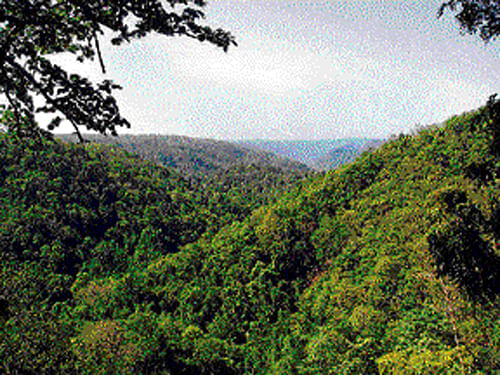 The verdant hills of the Western Ghats. DH file photo